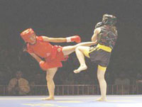 Omnisports/ Sports de combat ,La nuit des arts martiaux à Tizi Ouzou