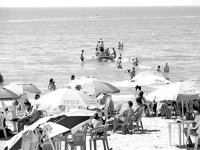 Plages d’Algérie, 22 millions d’estivants depuis le début de la saison estivale