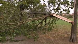 Pluies orageuses et vents violents provoquent des dégâts dans des habitations et coupures de courant à Biskra