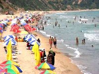 Plus de 8 millions d’estivants se sont rendus sur les plages d’Oran