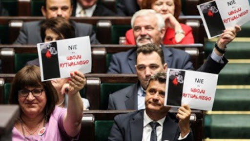 Pologne : l’interdiction de l’abattage rituel suscite la colère des musulmans et des juifs