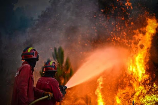 Portugal: pas de répit sur le front des incendies meurtriers