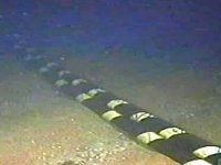 Projet liaison fibre optique sous-marine Oran-Valence : trois soumissions enregistrées