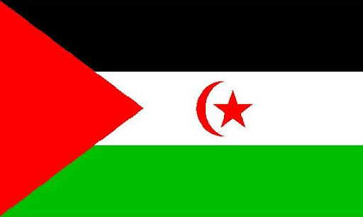 Sahara Occidental : une Ong dénonce les « graves » violations des droits de l’Homme