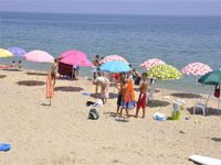 Sauver ce qu’il en reste ! Vacances d’été