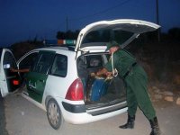 Trafic de carburant aux frontières, La gendarmerie déploie trois ceintures de sécurité pour endiguer le phénomène