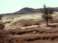 11e Conférence des parties (COP11) de l’ONU sur la désertification en Namibie