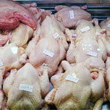 Algérie-Les prix des viandes blanches devraient se stabiliser d’ici à la mi-octobre