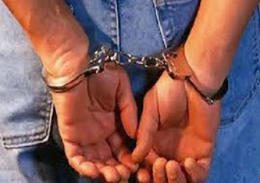 Arrestation de faux officiers, Qui sont-ils donc ?