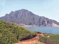 Des réseaux mafieux démantelés et des arrestations opérées,Dans les noyaux du crime aux portes du Chenoua