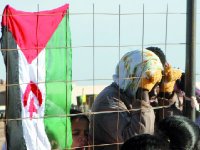 Droits de l’homme au sahara occidental, La Fondation Kennedy épingle de nouveau le Maroc