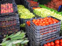 La mise en place de mécanismes pour l’exportation des produits agricoles à l’étude