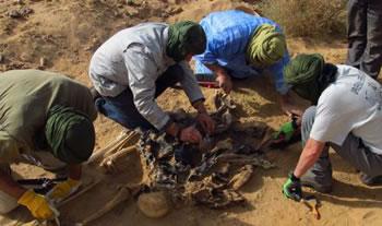 Le polisario accable le royaume,Deux fosses communes découvertes au Maroc