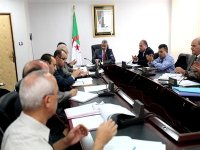 Loi sur le sport : » les textes d’applications découleront de larges consultations » (Tahmi)