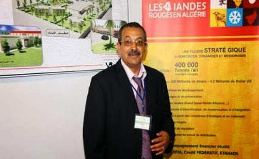 Mohamed Nadjib Djeghab, directeur technico-commercial à Alviar  «Le marché de la viande rouge a besoin d’être redressé»