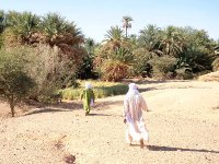 Mouvement de criquets pèlerins, Rien à l’horizon