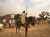 Oran : la waâda de Sidi Bakhti célébrée dans la joie et la communion