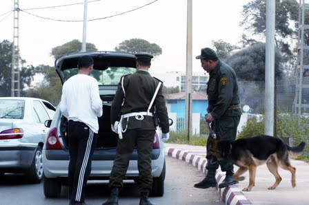 ouverture hier de la 22e conférence africaine à oran interpol veut une coalition internationale contre la drogue