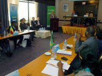 Télévision numérique terrestre, Quelle part pour l’Afrique ?