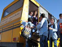 Transport scolaire à Médéa, Un déficit de 239 bus