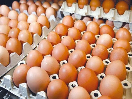 A cause des prix qui connaissent actuellement une flambée, L’Association des consommateurs appelle au boycott des œufs