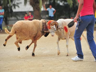 Aïd El Adha : les partisans de la « frime » et les autres