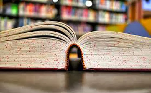 Algérie-Le projet de loi sur le Livre divise les professionnels…sauf sur le prix unique de vente