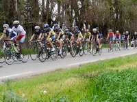 Championnats arabes de cyclisme : 18 cyclistes du 22 au 31 octobre à Manama