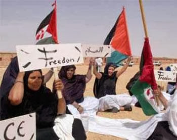 Clôture de la conférence de solidarité africaine avec le peuple sahraoui, La Task force pour l&rsquo;indépendance du peuple