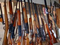 Conséquence de la restitution des fusils de chasse et du renforcement des contrôles Le trafic d’armes en baisse