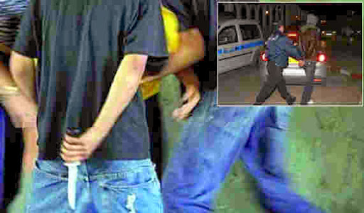 Deux groupes dangeureux neutralisés à Baraki et Fouka Les gangs terrorisent les cités