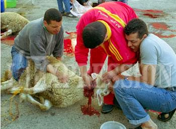 Egorgeurs, dépeceurs de moutons, aiguiseurs de couteaux,vendeurs de foin, barbecue, charbon…Les métiers de l’Aid el Adha