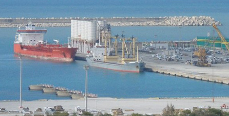 Entrée de l’Algérie dans la Zone de libre- échange africaine, Des experts algériens s’expriment