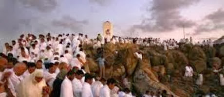 Hadj : 1,5 million de musulmans en prière sur le Mont Arafat