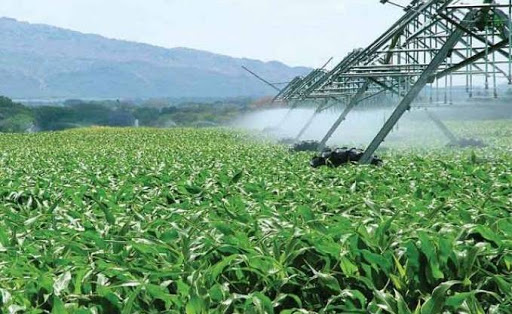 Le ministre des Ressources en eau à Skikda “L’agriculture est la priorité du prochain quinquennat”