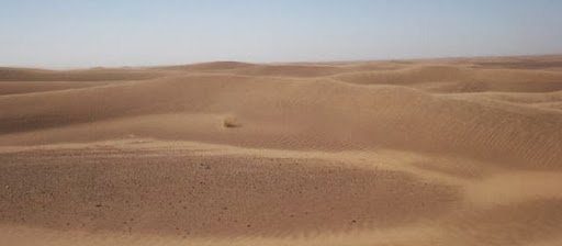 Niger : 35 migrants meurent de soif en plein désert