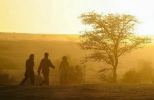 Niger : 87 cadavres de migrants retrouvés près de l&rsquo;Algérie