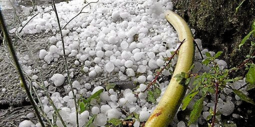 Orages à Skikda : Des grêlons gros comme un œuf s’abattent sur la ville