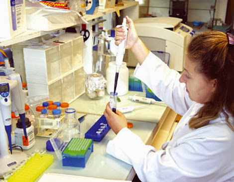 Rencontre en novembre sur les possibilités d’investir des laboratoires portugais en Algérie