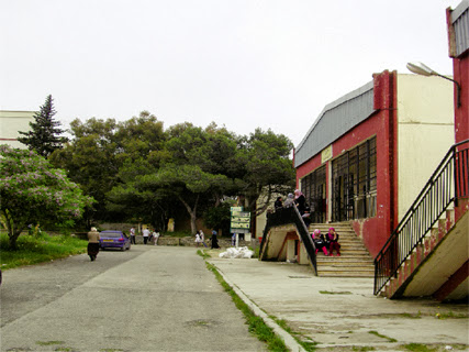 Rentrée universitaire 2013/2014, Les étudiants face à la surcharge des amphis