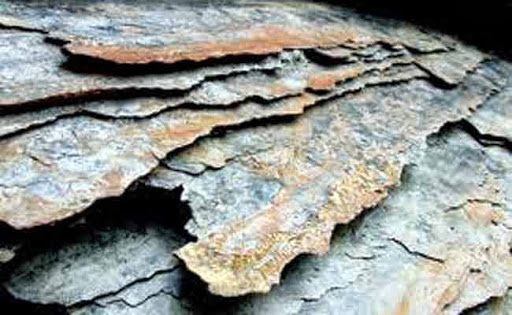 Tous les pays du Maghreb présentent un grand potentiel en gaz de schiste (BAD)