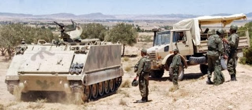 Tunisie : 13 terroristes tués dans des opérations militaires