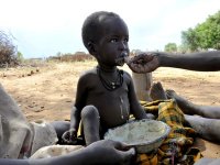 842 millions de personnes victimes de la faim et 500 millions frappées d’obésité (ONU)