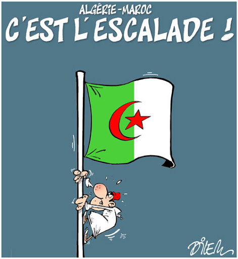 Algérie -Maroc , C&rsquo;est l&rsquo;escalade !