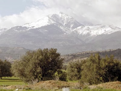 Bejaïa, On se prépare au lancement de la campagne de reboisement