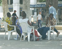 Communauté africaine en Algérie, Présent incertain, avenir suspendu