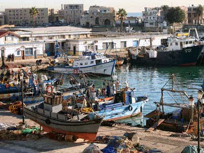 Construction navale et aquaculture Espagnols, Italiens et Norvégiens franchissent le pas