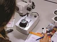 Coopération Algérie-Brésil, Une école-pilote de gemmologie créée à Tamanrasset