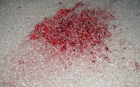 Jijel: les deux-roues aussi « meurtriers » que le reste des véhicules