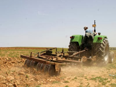 La sécheresse inquiète les agriculteurs, La campagne agricole risque d’être compromise
